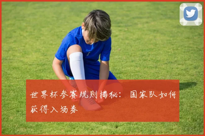 世界杯参赛规则揭秘：国家队如何获得入场券